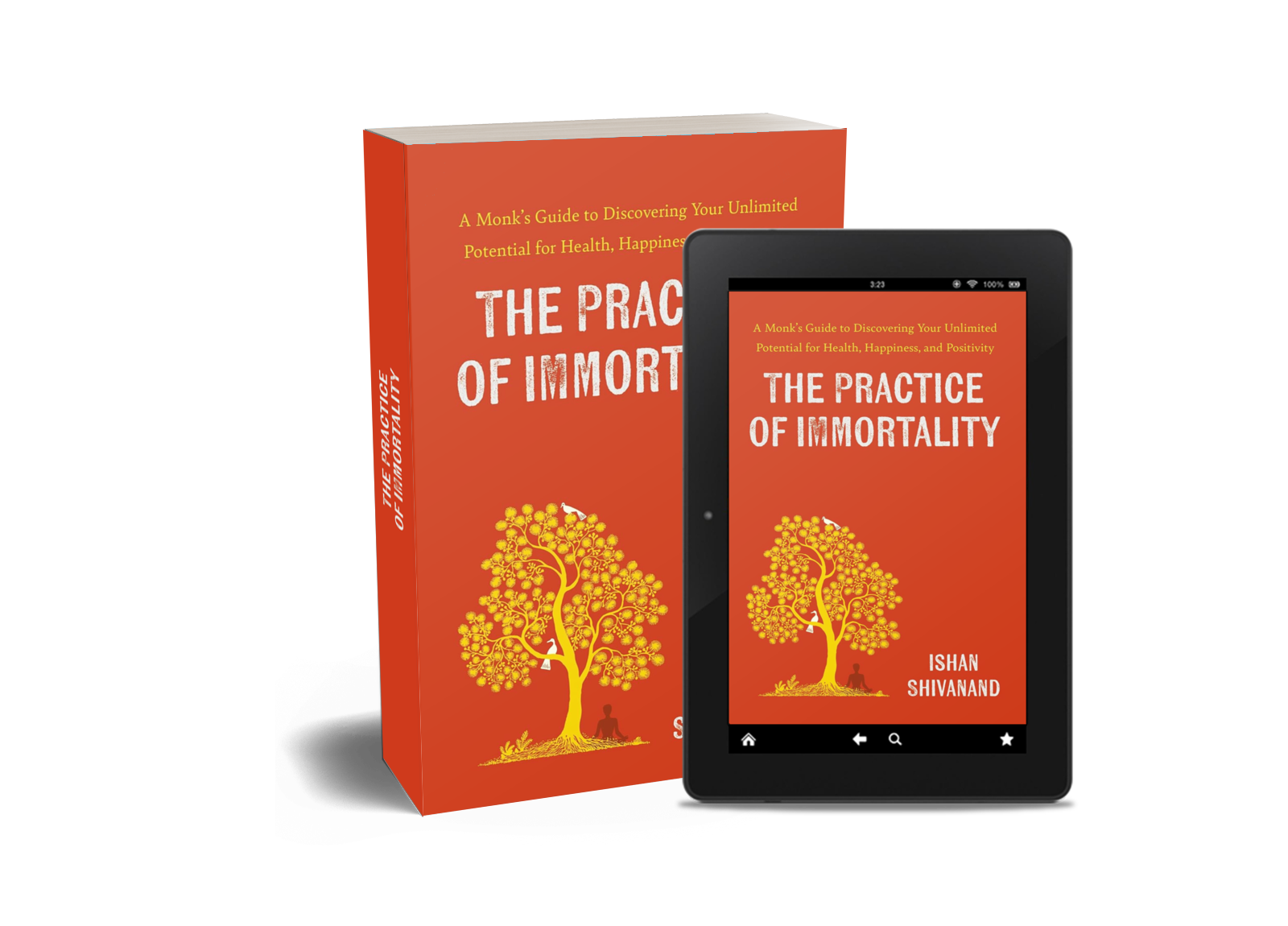 Practice of Immortality Book Cover